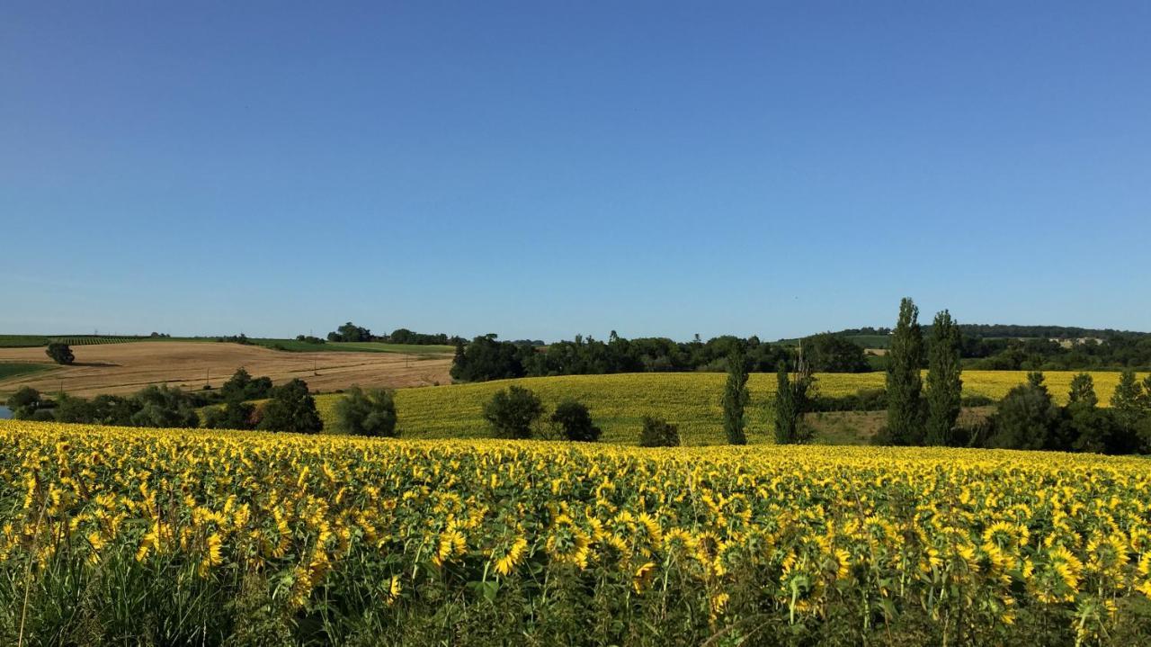 " Venez Dormir Chez Nous " #Condom#Gascogne#D'Artagnan#Armagnac#Le Bonheur Est Dans Le Gers Exteriör bild