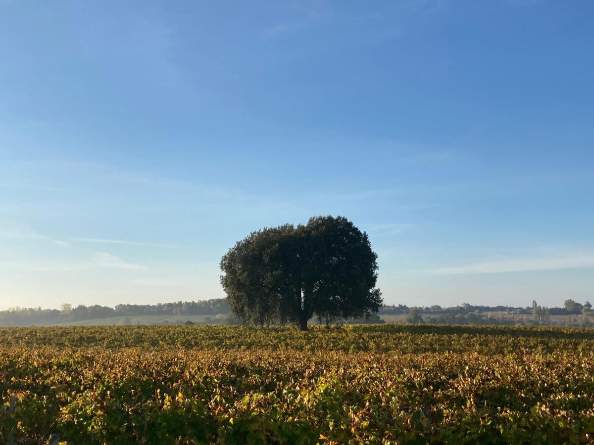 " Venez Dormir Chez Nous " #Condom#Gascogne#D'Artagnan#Armagnac#Le Bonheur Est Dans Le Gers Exteriör bild